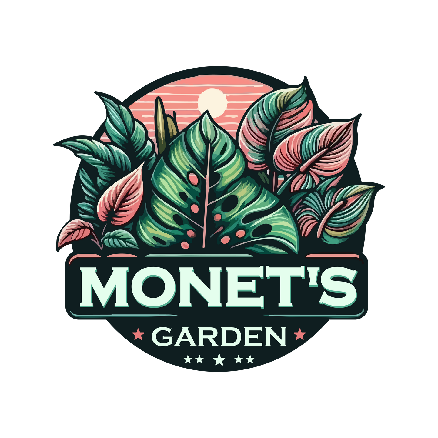 Class 3: Anthurium sections continued