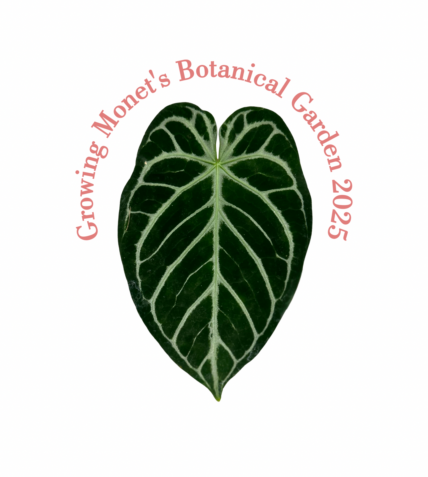 Growing 2025 T-Shirt (made to order)￼