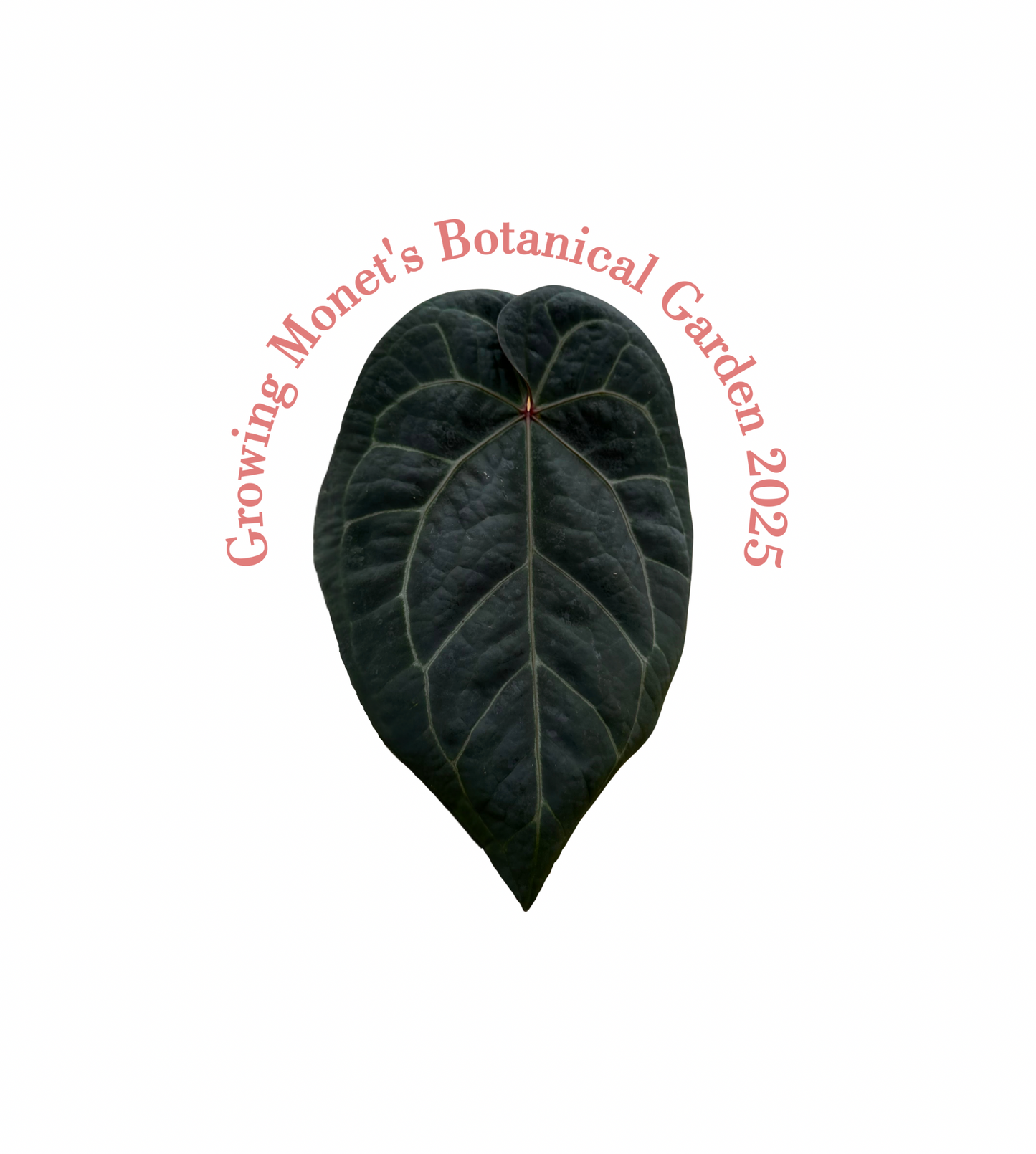 Growing 2025 T-Shirt (made to order)￼