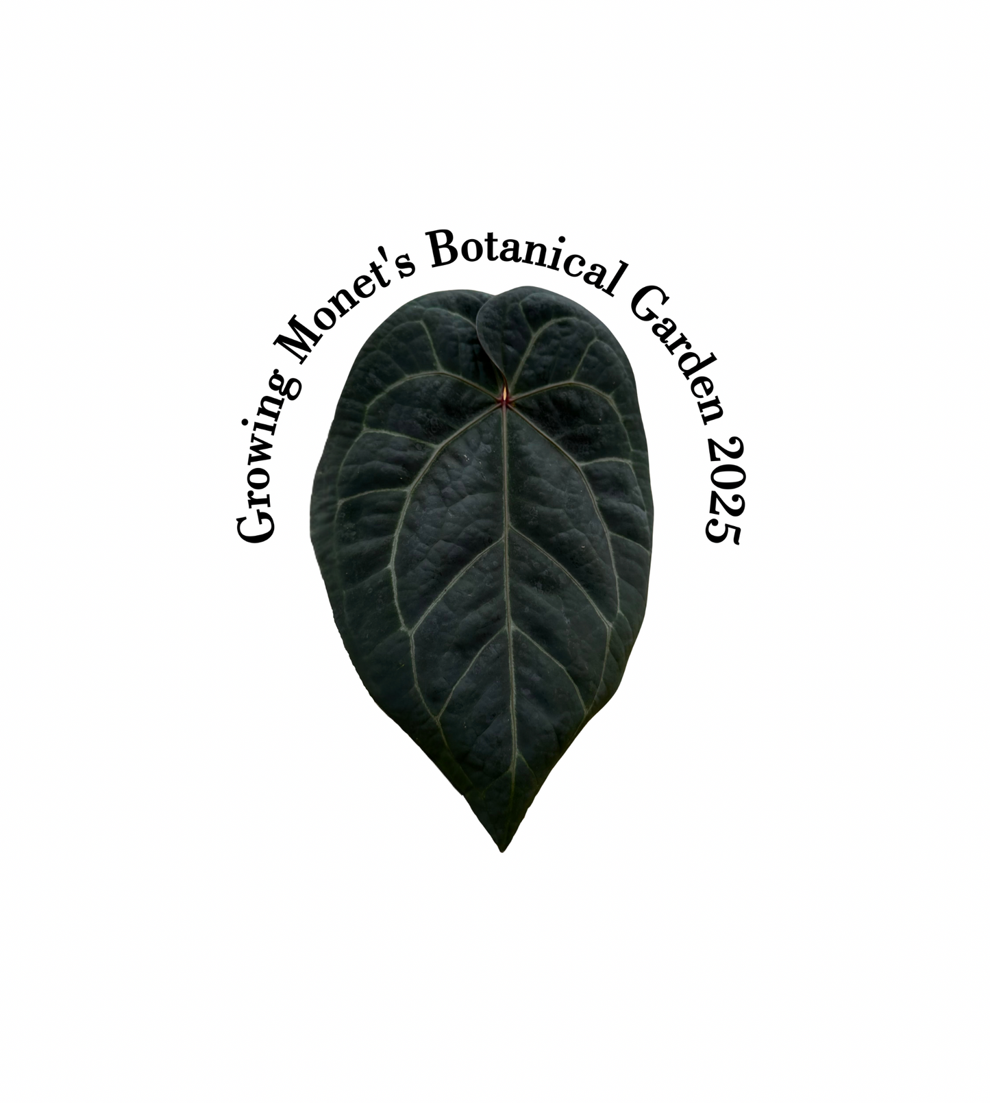 Growing 2025 T-Shirt (made to order)￼